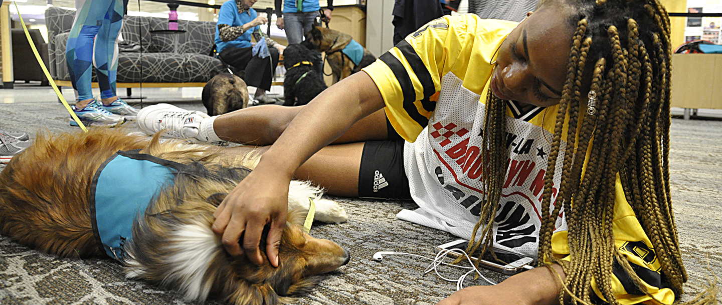 A student laying on the floor petting a therapy dog