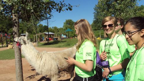 ETS students posing by a llama at the Mn Zoo
