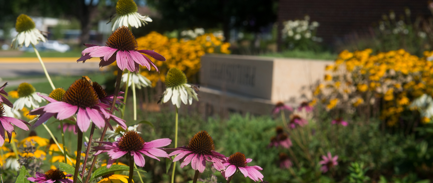 flowers in front of the campus