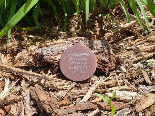 Homecoming Medallion Picture on mulch