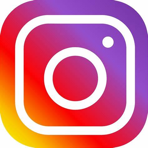 Instagram Logo WIth Link