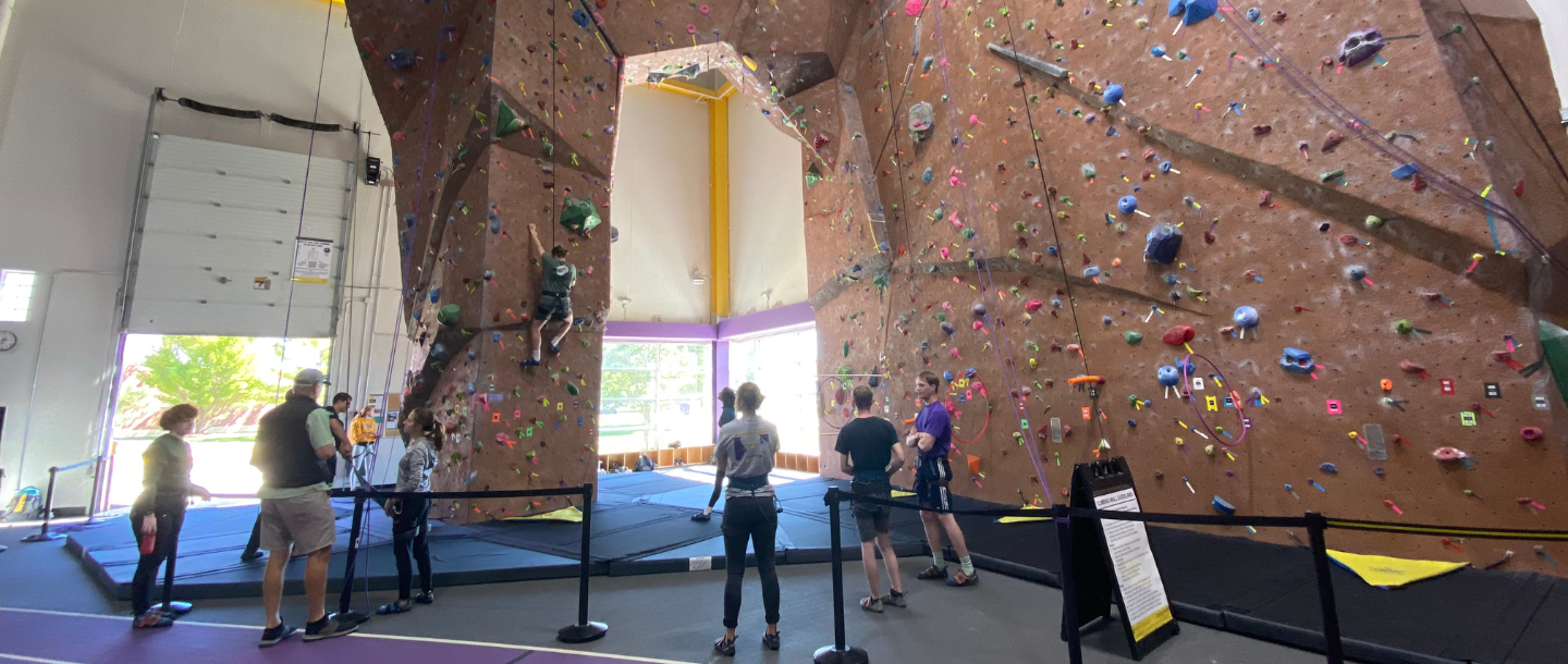 people standing in a rock climbing wall