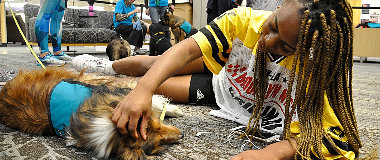 A student laying on the floor petting a therapy dog