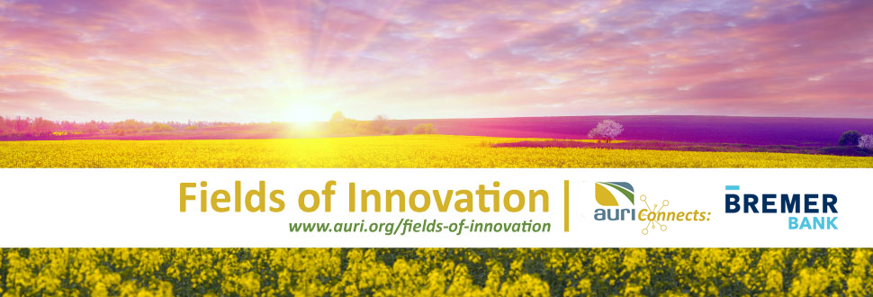 Fields of Innovation hosted by auri connects and powered by bremer bank poster which consists of the Sun shining on an empty field