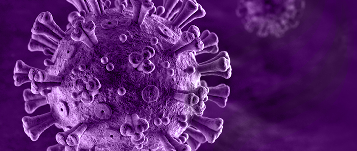 Coronavirus Information