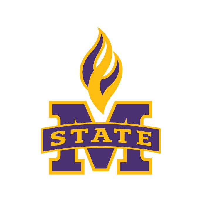 Logo Guidelines and Download Minnesota State University, Mankato