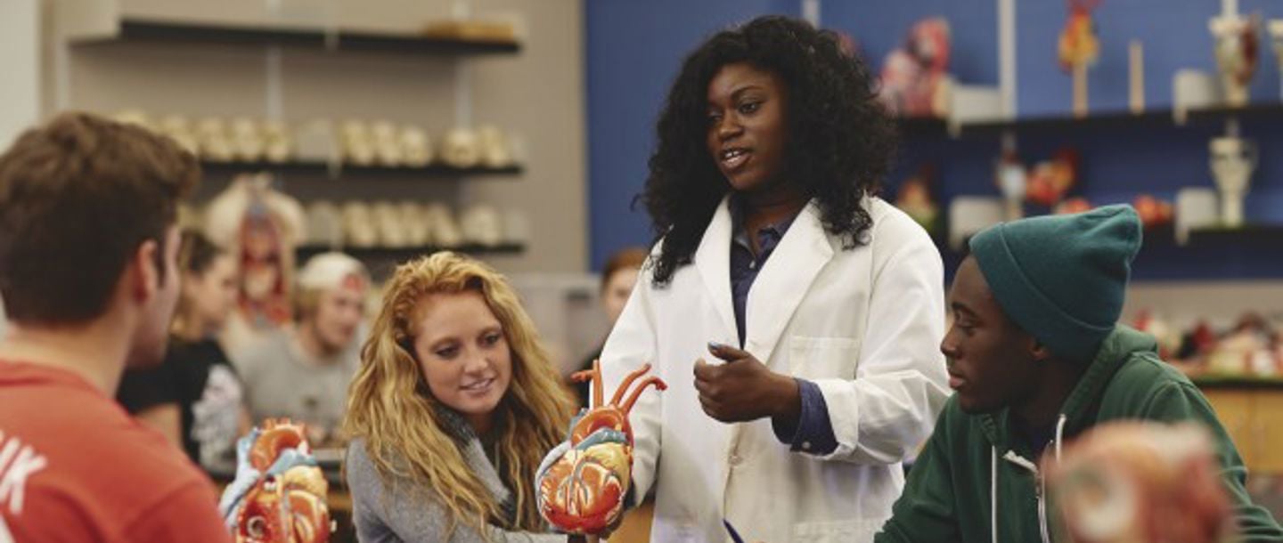 A student in a white lab coat standing by other students sitting at a table in the classroom with a model of a heart on the table having a discussion