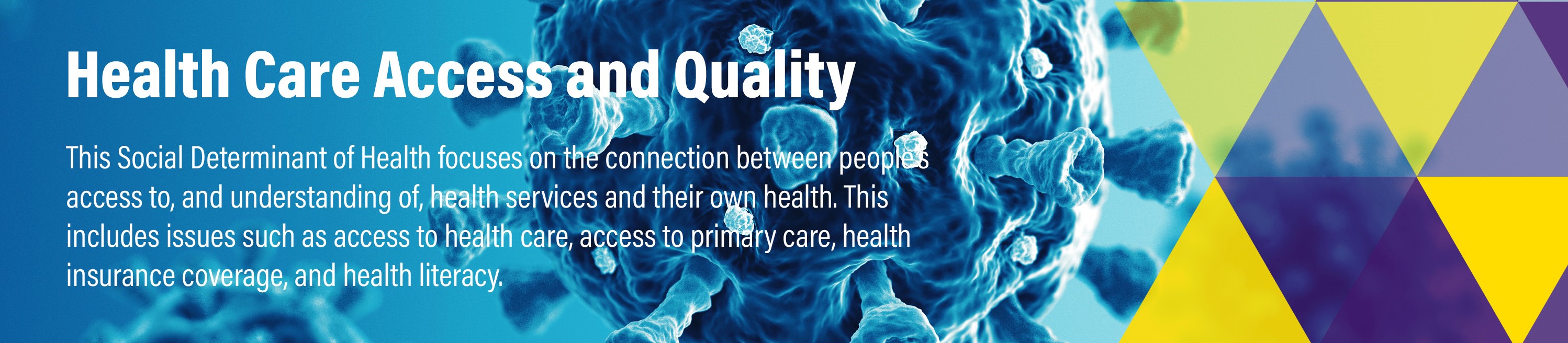 This Social Determinant of Health focuses on the connection between people’s access to, and understanding of, health services and their own health. This includes issues such as access to health care, access to primary care, health insurance coverage, and health literacy.