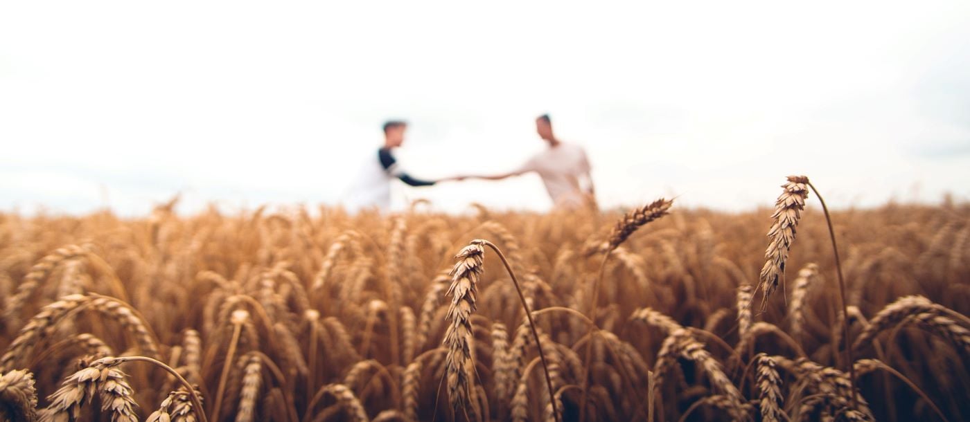 Two friends shaking their hand in the background of a wheat field