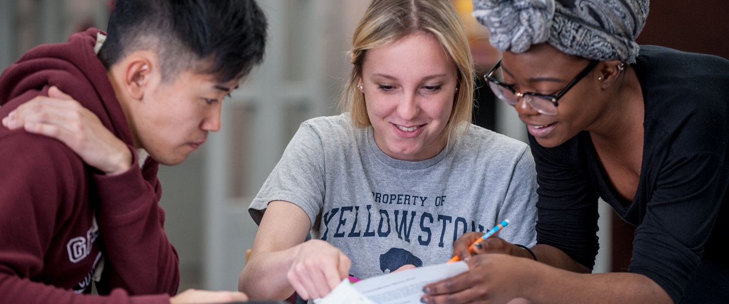 Students collaborating in the library