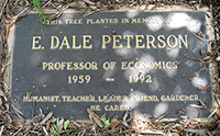e-dale-peterson.jpg