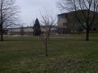 Pamela Byers Kearney memorial tree