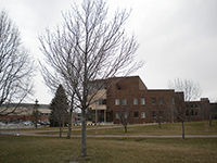 The tree dedicated to the Pan African Conference