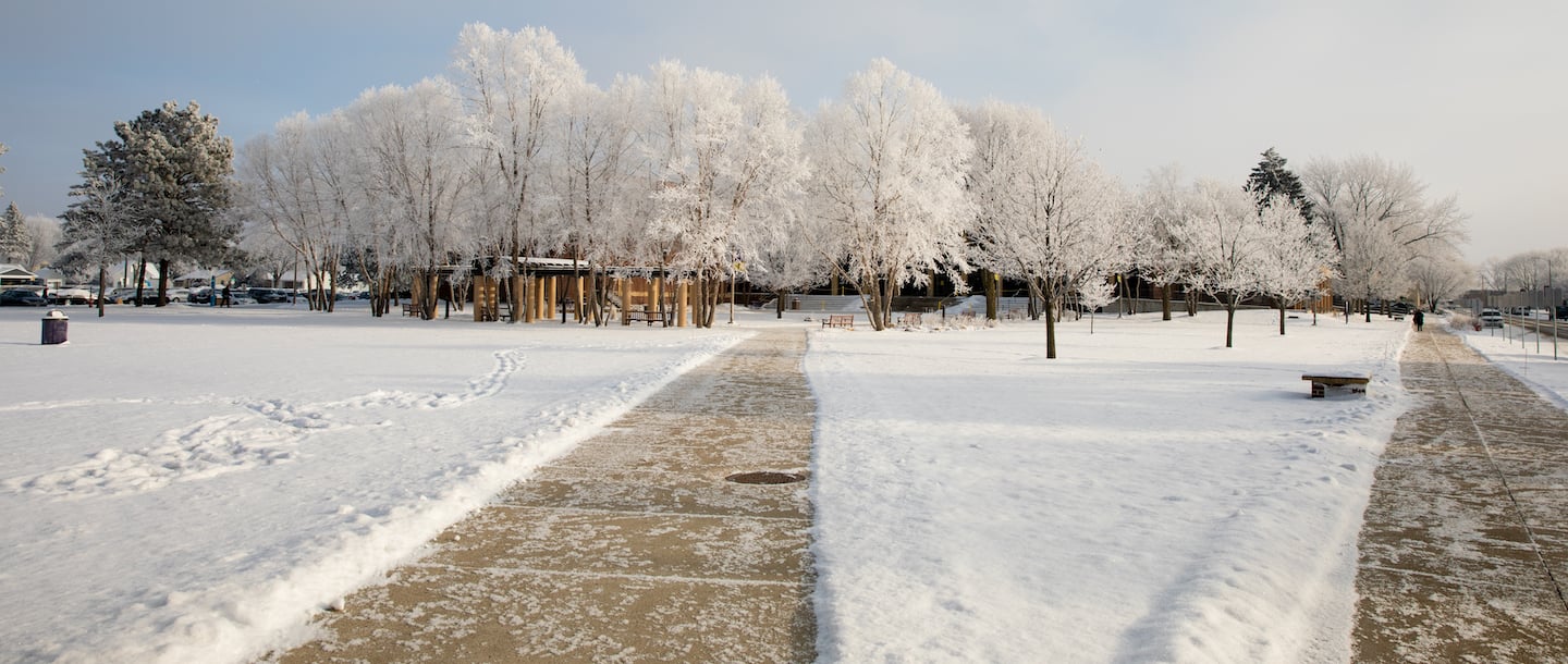 a snowy park with trees and a building