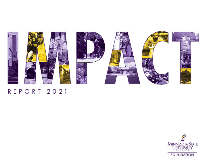 2020 Annual Impact Report cover