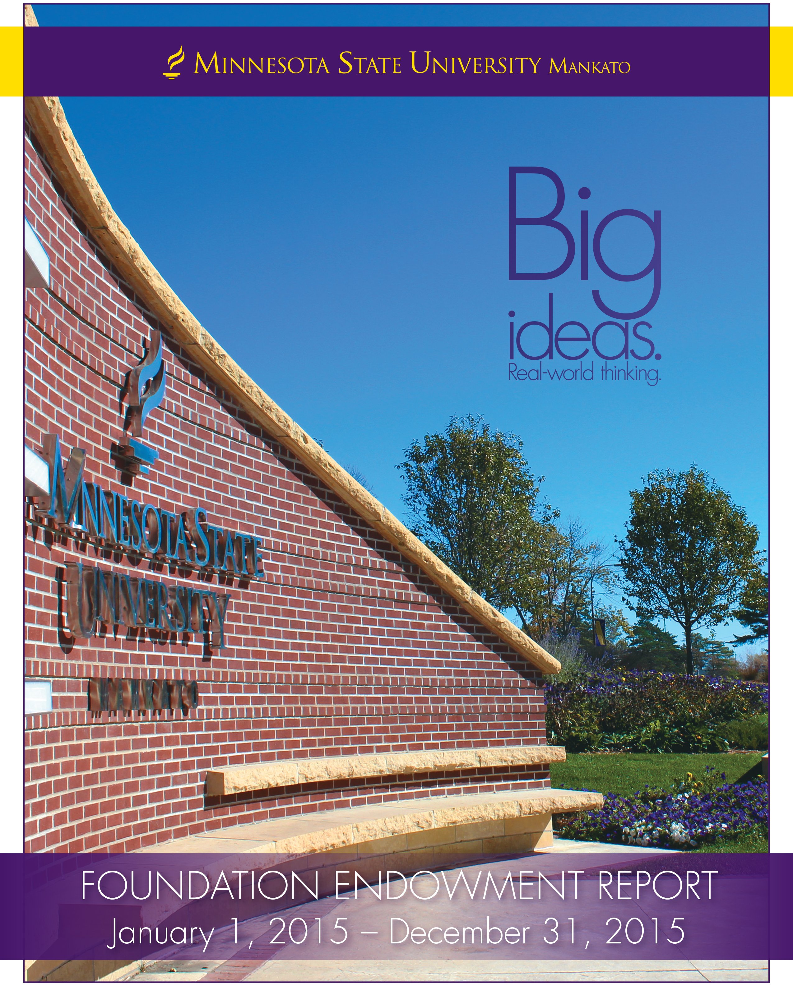 cover of 2015 endowment report