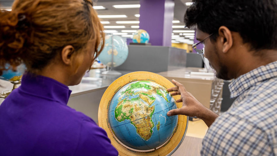 International Partnerships