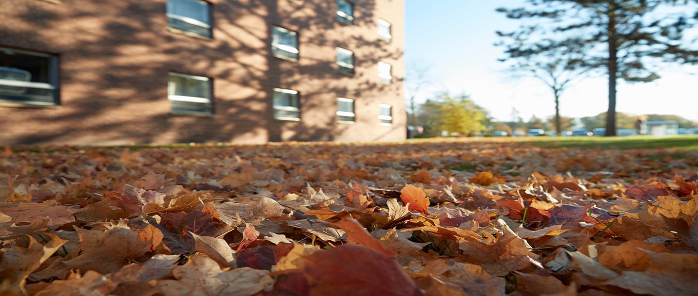 Fall leaves outside the McElroy building