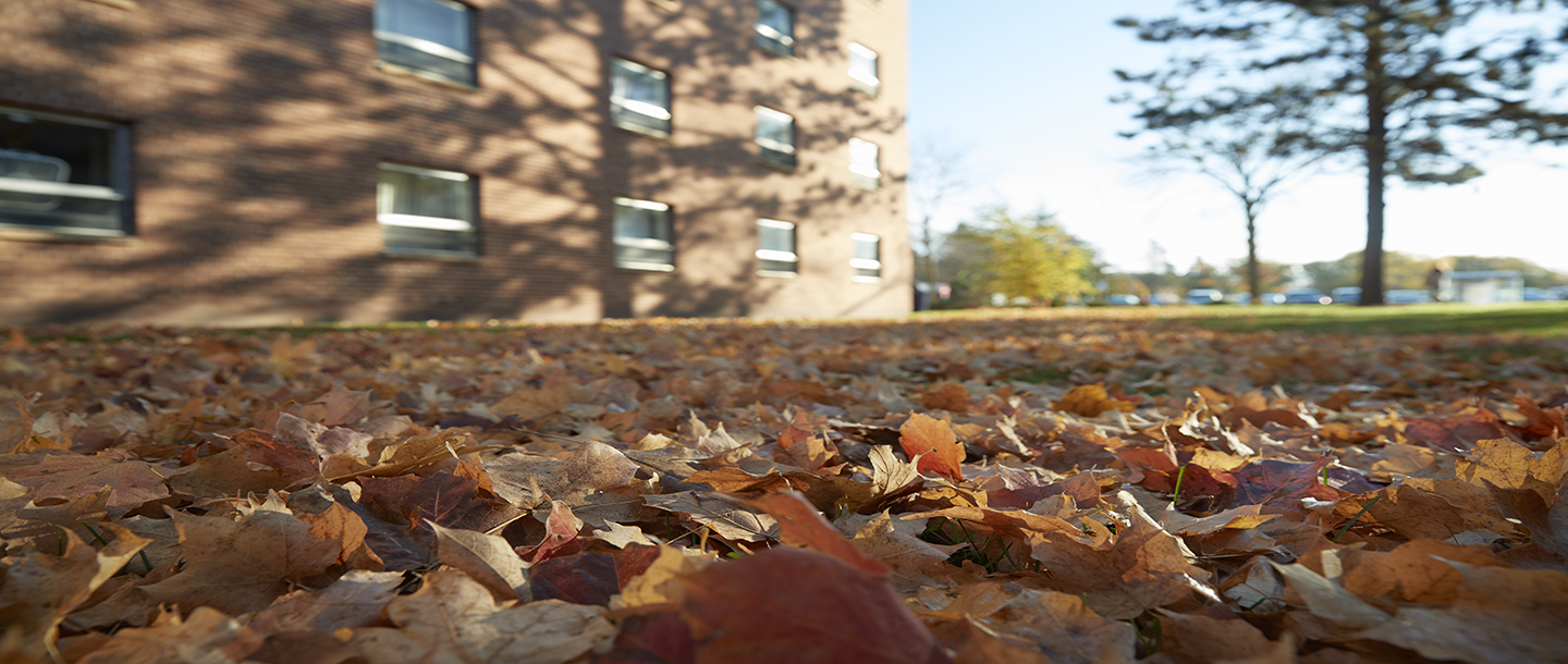 Fall leaves outside the McElroy building