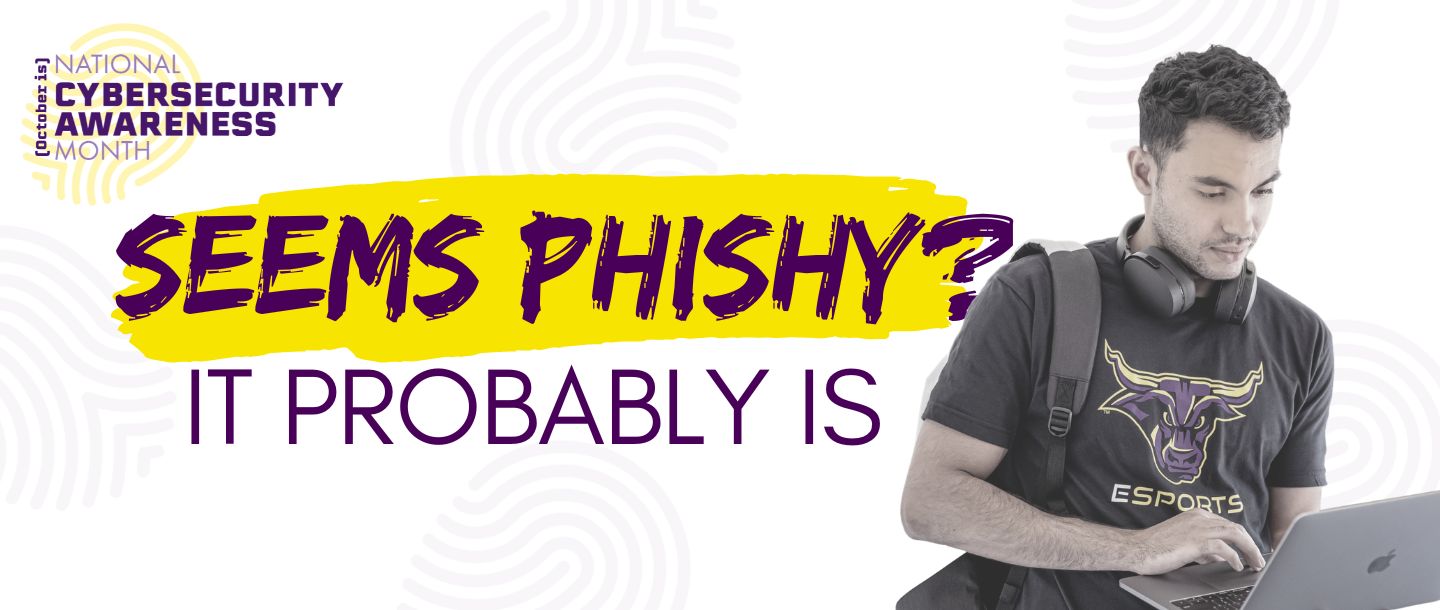 Guy looking at a laptop. Text that says: "Seems phishy? It probably is"
