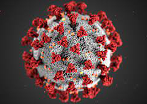 Free COVID-19 Tests, N95 Masks Available