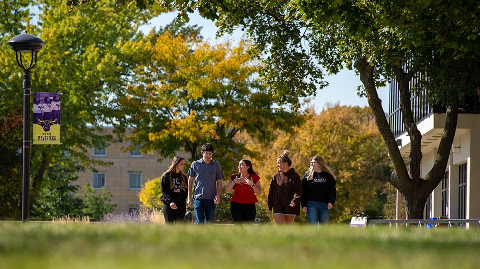 a group of people walking in a park