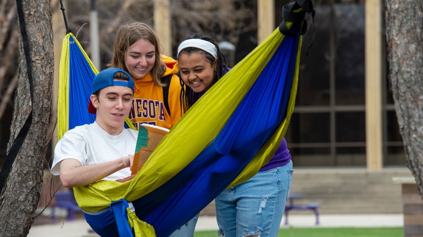 a group of people in a hammock