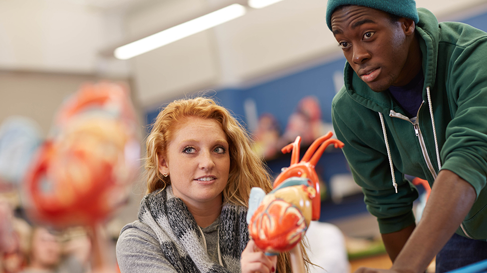 image of Biology students learning about the heart