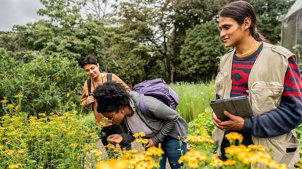 a group of people in a field of yellow flowers