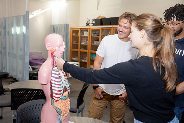 Students looking at a anatomical model learning about the human body.