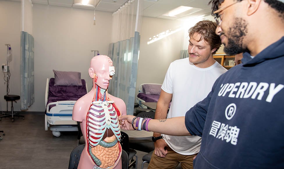 A portion of the skills lab — dedicated space that gives dietetic students hands-on experience. This shows two students working with an anatomy model with hospital beds in the background.