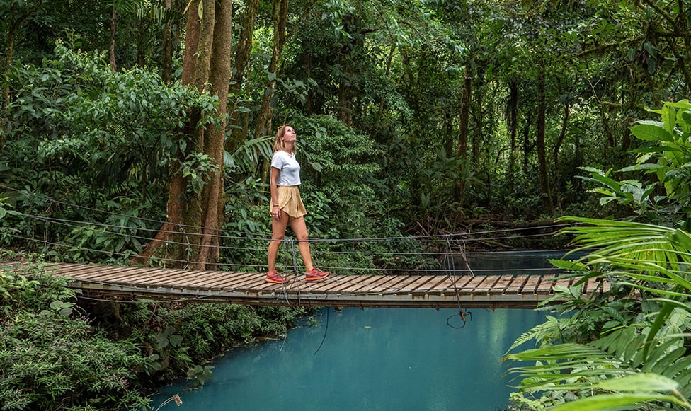 student walking on a bridge in the rainforest