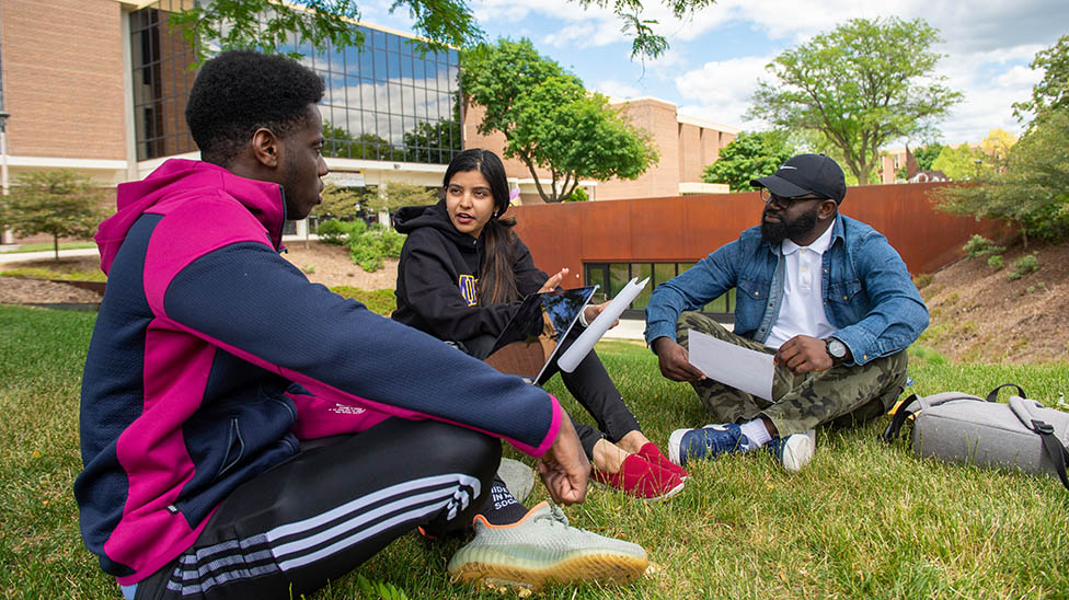 a group of people sitting on the grass