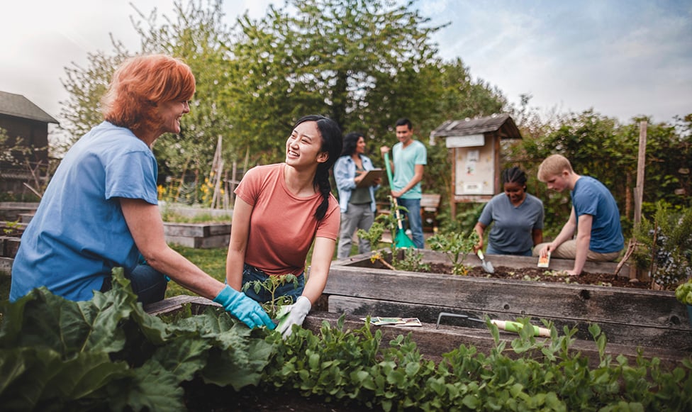 Eta Sigma Gamma working a garden