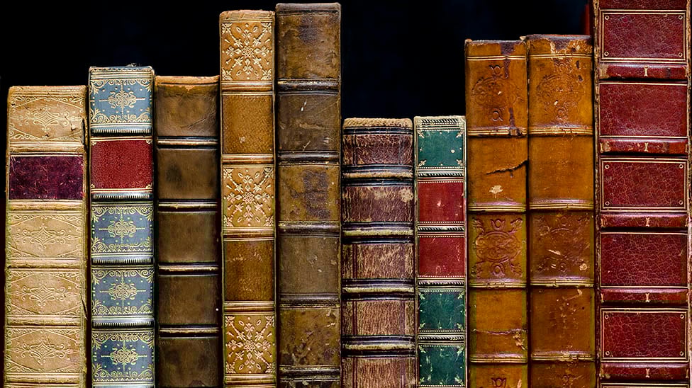 library books lined up on a shelf