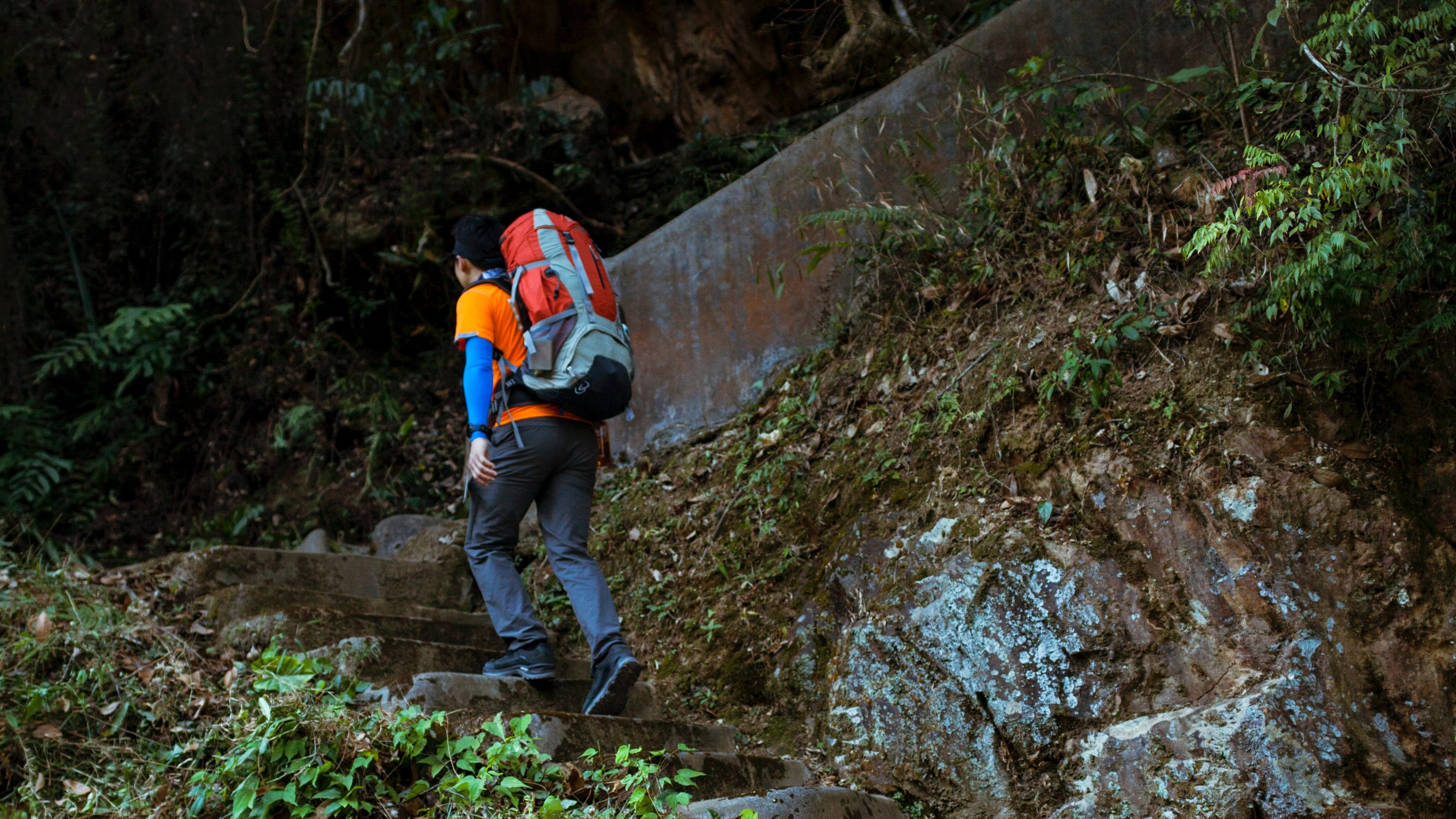 Stock photo of a person backpacking through the forest.