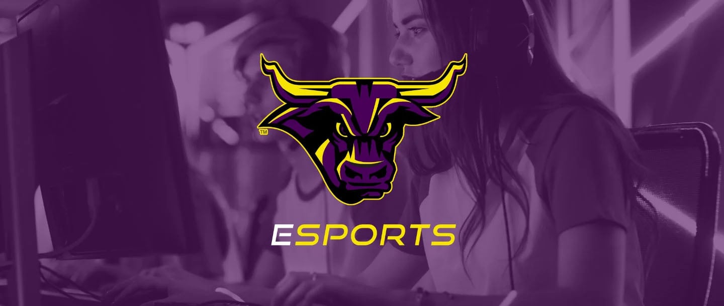 Esports and Gaming Learning Community
