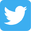 Twitter Icon