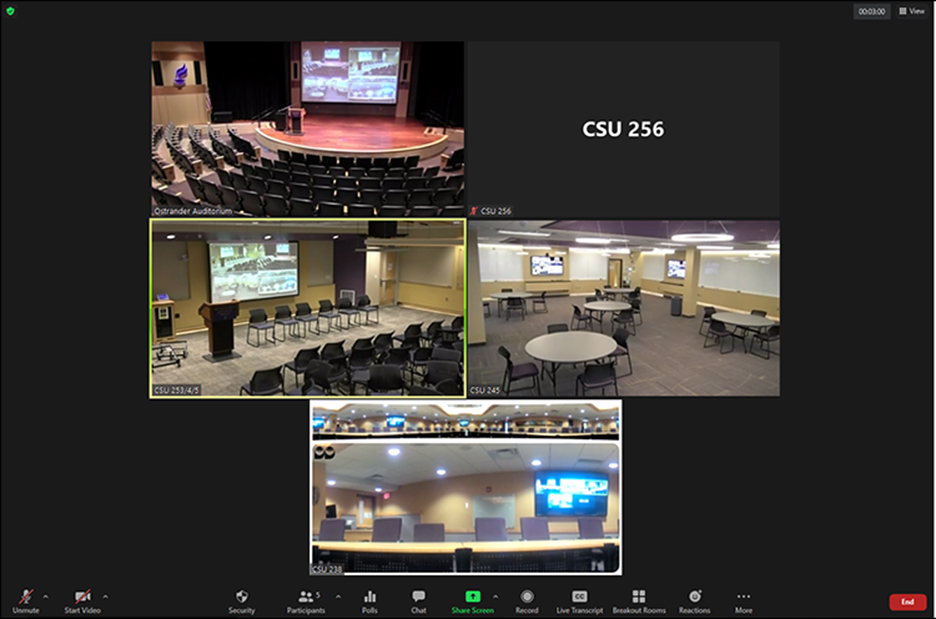 a screenshot of a video conference